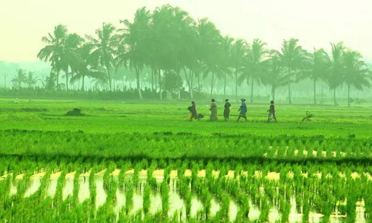 കാ​ർ​ഷി​ക ക​ല​ണ്ട​ർ
