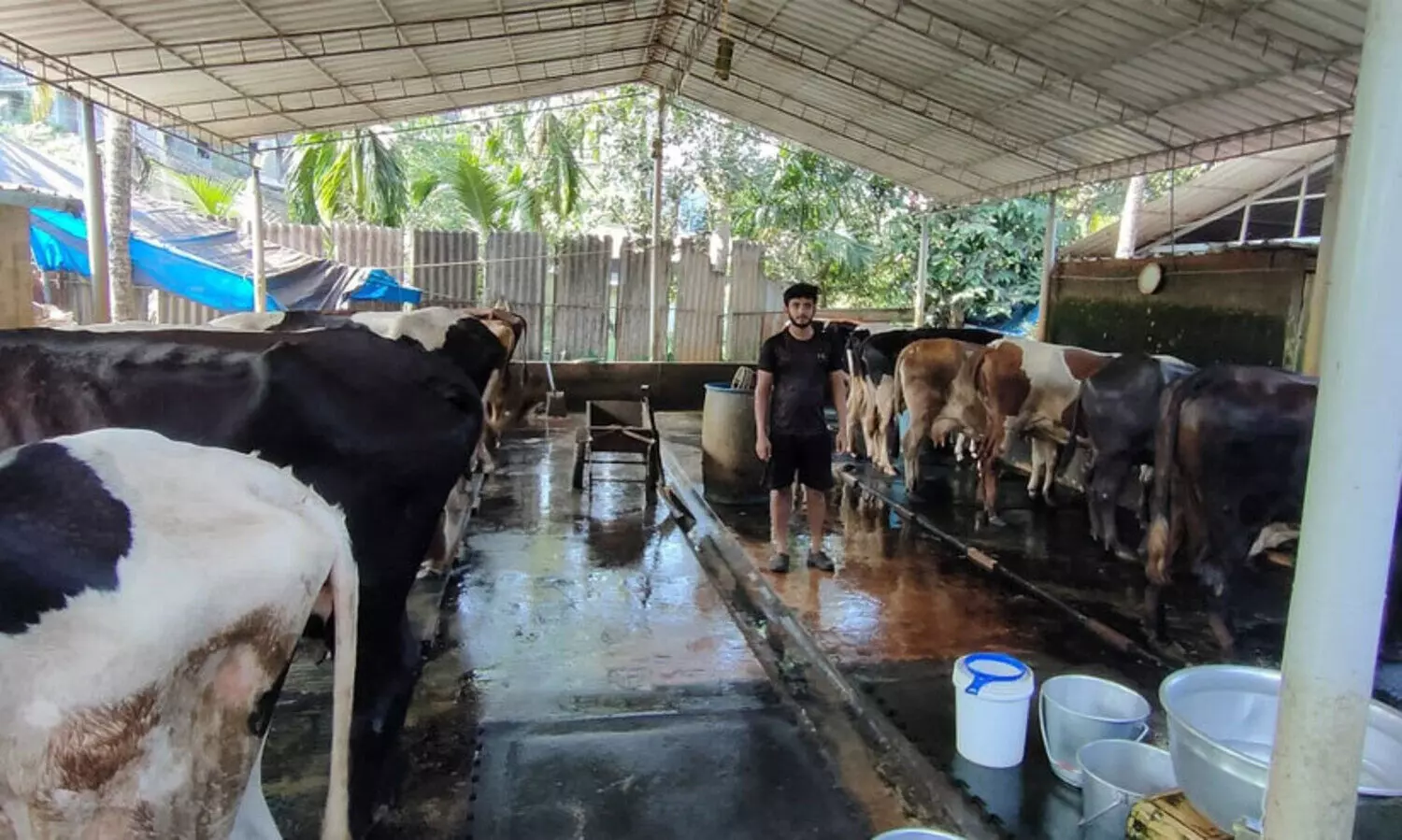 ഈ ​ക്ഷീ​ര​ക​ർ​ഷ​ക​നി​ൽ​ നി​ന്ന് പ​ഠി​ക്കാ​നേ​റെ