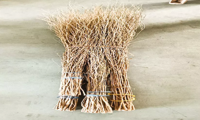 ദേ​ശീ​യ എ​ക്സി​ബി​ഷ​ൻ: നി​ല​മ്പൂ​രി​ലെ ഗോ​ത്ര​വ​ർ​ഗ​ക്കാ​രു​ടെ കു​റു​ന്തോ​ട്ടി​ചൂ​ൽ ഉ​ൾ​പ്പെ​ടെ കാ​ഴ്ച​ക​ളാ​വും