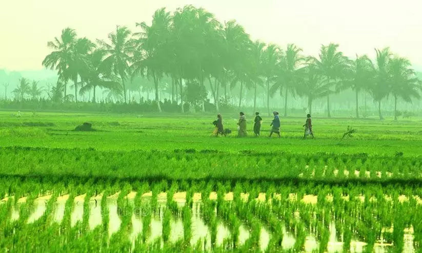 കാ​ർ​ഷി​ക ക​ല​ണ്ട​ർ