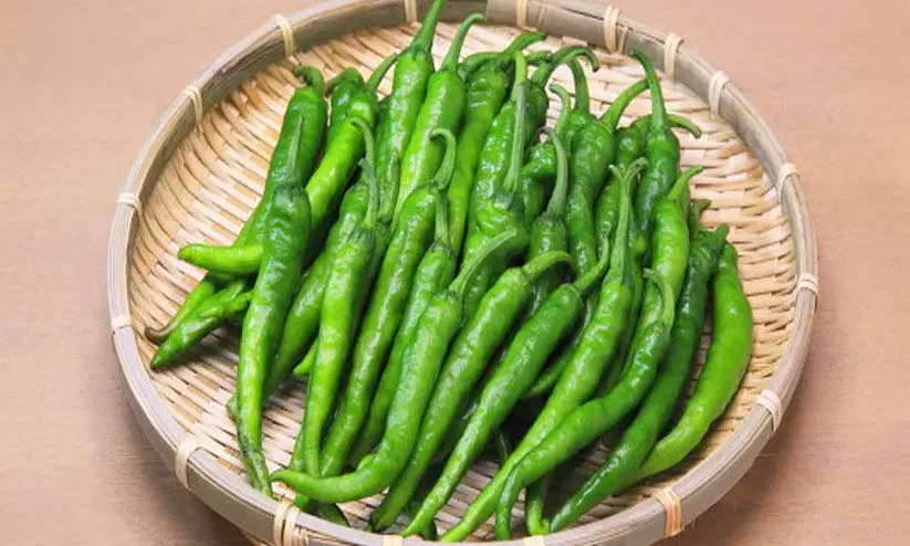 മുളകിലെ  മായക്കാഴ്ചകൾ