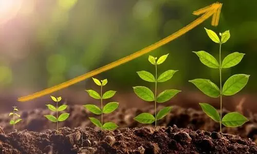 സസ്യങ്ങളുടെ വളർച്ചയെ ഉത്തേജിപ്പിക്കുന്ന ബാക്ടീരിയ കണ്ടെത്തി ഗവേഷകർ