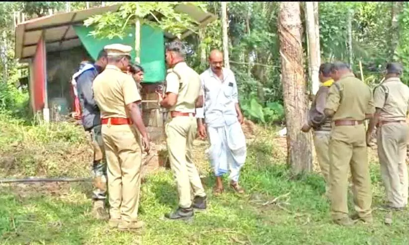 സി​സി​യി​ൽ ക​ടു​വ പ​ശു​ക്കി​ടാ​വി​നെ കൊ​ന്ന സ്ഥ​ല​ത്ത് വ​നം​വ​കു​പ്പ് പ​രി​ശോ​ധ​ന ന​ട​ത്തു​ന്നു