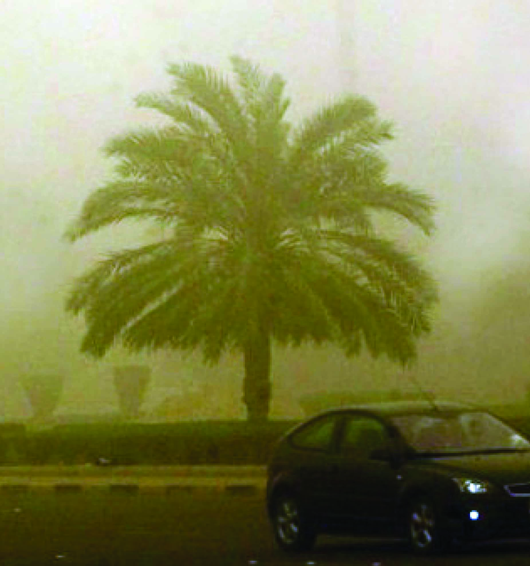 വാ​യു മ​ലി​നീ​ക​ര​ണം വ​ർ​ധി​ക്കു​ന്ന​താ​യി റി​പ്പോ​ർ​ട്ട്