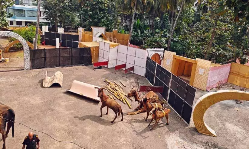 തൃശൂർ തിരുഹൃദയ റോമൻ കാത്തലിക് ലത്തീൻ പള്ളിയിൽ ഒരുക്കിയ മെഗാക്രിസ്മസ് ഗ്രാമം തൃശൂർ തിരുഹൃദയ റോമൻ കാത്തലിക് ലത്തീൻ പള്ളിയിൽ ഒരുക്കിയ മെഗാക്രിസ്മസ് ഗ്രാമം