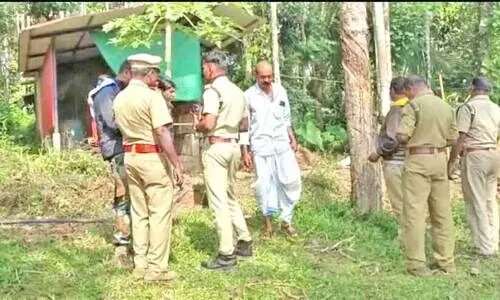 സി​സി​യി​ൽ ക​ടു​വ പ​ശു​ക്കി​ടാ​വി​നെ കൊ​ന്ന സ്ഥ​ല​ത്ത് വ​നം​വ​കു​പ്പ് പ​രി​ശോ​ധ​ന ന​ട​ത്തു​ന്നു