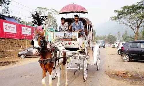 വ​യ​നാ​ട് ഫ്ല​വ​ര്‍ ഷോ​യോ​ട​നു​ബ​ന്ധി​ച്ച് ന​ട​ക്കു​ന്ന കു​തി​ര സ​വാ​രി