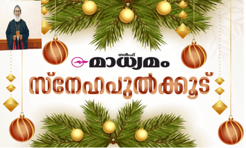 രക്ഷകന്റെ പിറവി: സർവജനത്തിനുമുള്ള മഹാ സന്തോഷം രക്ഷകന്റെ പിറവി: സർവജനത്തിനുമുള്ള മഹാ സന്തോഷം