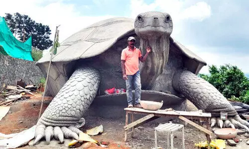 കൗതുകമുണര്‍ത്തി ആമപ്പാറയില്‍ ഭീമന്‍ ആമ