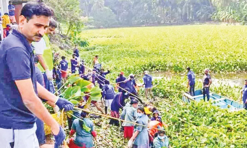 ഊർപായിചിറ: നാടും നഗരവും കൈ കോർത്തു ഊർപായിചിറ: നാടും നഗരവും കൈ കോർത്തു