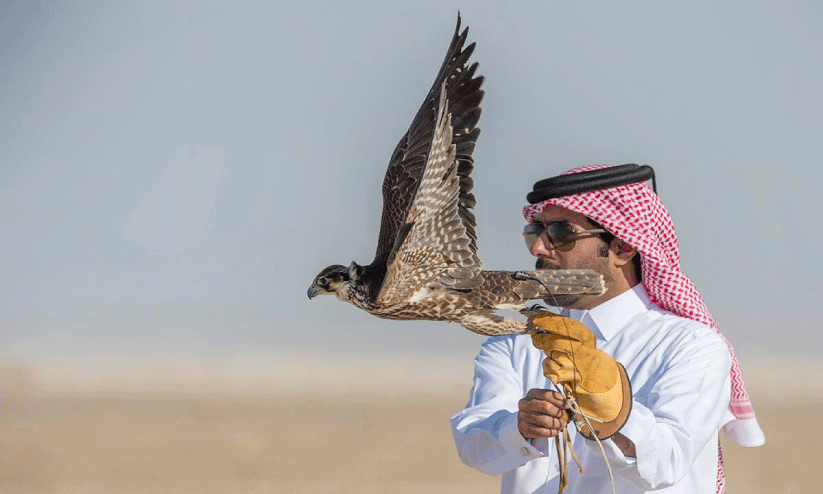 ഫാൽകൺ പോരിന്റെ ‘മർമി’ വരവായി ഫാൽകൺ പോരിന്റെ ‘മർമി’ വരവായി