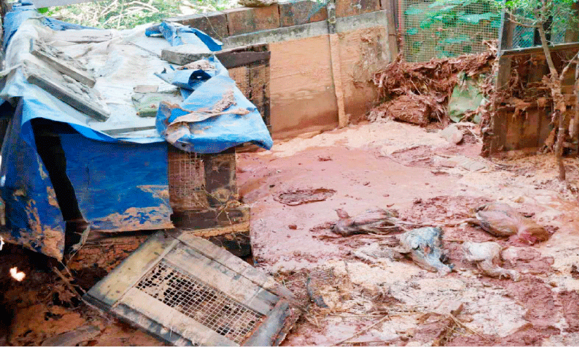 ജപ്പാൻ കുടിവെളള ടാങ്ക് നിറഞ്ഞൊഴുകി; സമീപത്തെ വീടുകൾക്ക് നാശനഷ്ടം