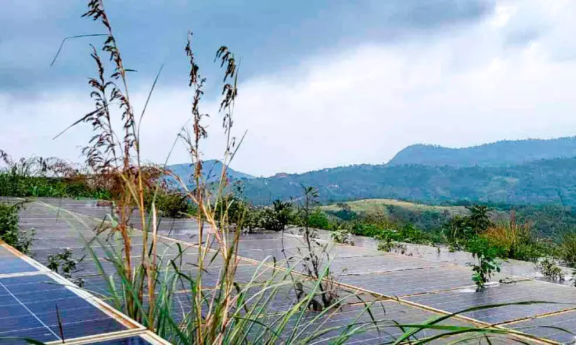 ആമപ്പാറയിലെ അക്ഷയ ഊര്‍ജ പാര്‍ക്ക് കാടു കയറി നശിക്കുന്നു