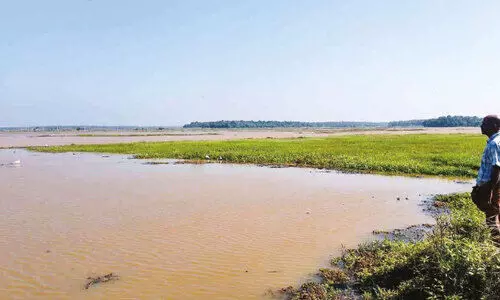 വെളിയങ്കോട് നരണിപ്പുഴ-കുമ്മിപ്പാലം  ബണ്ട് തകർന്നു; 200 ഏക്കർ കൃഷി മുങ്ങി