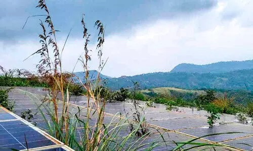 ആമപ്പാറയിലെ അക്ഷയ ഊര്‍ജ പാര്‍ക്ക് കാടു കയറി നശിക്കുന്നു