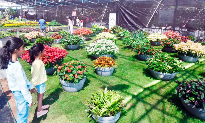 ഫ്ലവർ ഷോയിൽ കൗതുകമായി കണ്ടെയ്നർ ഗാർഡൻ