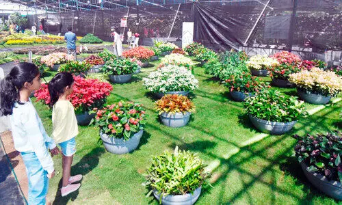 ഫ്ലവർ ഷോയിൽ കൗതുകമായി കണ്ടെയ്നർ ഗാർഡൻ ഫ്ലവർ ഷോയിൽ കൗതുകമായി കണ്ടെയ്നർ ഗാർഡൻ