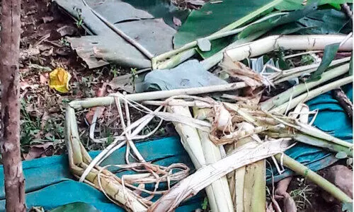 ഈ കണ്ണീരിന്​ പരിഹാരമില്ലേ...