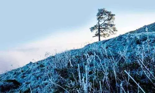 വീതവിചാരങ്ങൾ