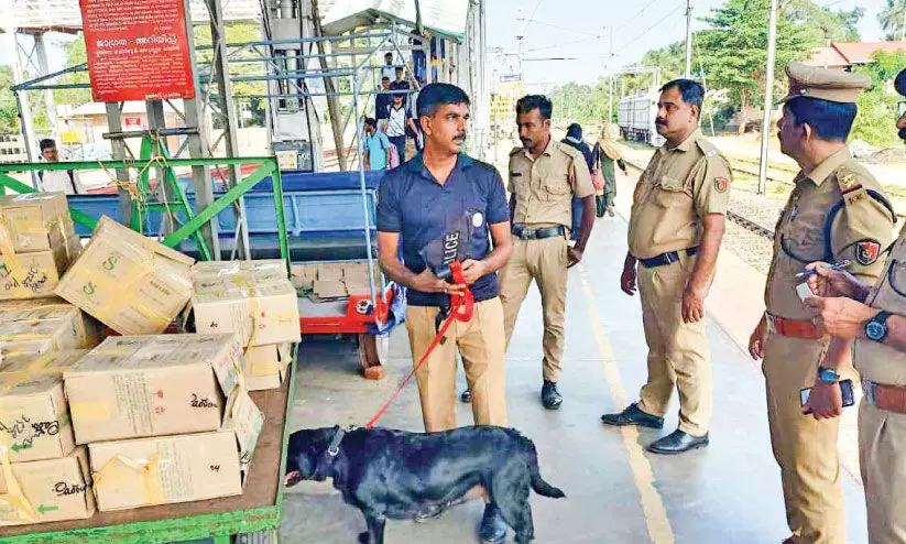 inspection inspection