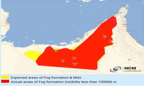കനത്ത മൂടൽമഞ്ഞ്​: ജാഗ്രത പാലിച്ചാൽ അപകടം ഒഴിവാക്കാം