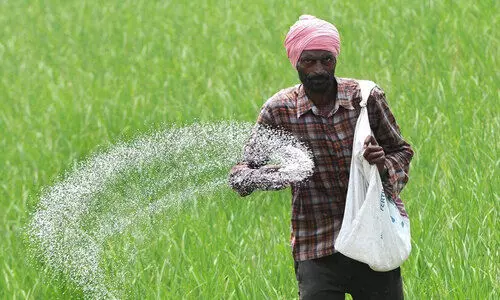 agriculture agriculture