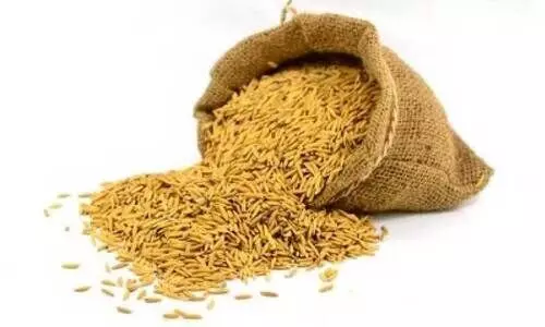 കൊയ്ത്തിന് ദിവസങ്ങൾ മാത്രം; നെല്ല് സംഭരണം വീണ്ടും വലയും