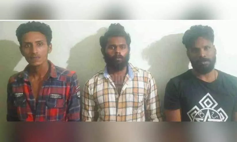 പിടിയിലായ പ്രതികൾ പിടിയിലായ പ്രതികൾ