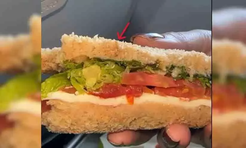 ഇൻഡിഗോ വിമാനത്തിൽ വിതരണം ചെയ്ത സാൻഡ്‍വിച്ചിൽ പുഴു; മാപ്പു പറഞ്ഞ് കമ്പനി