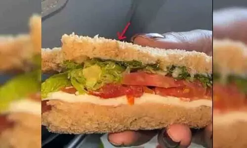 ഇൻഡിഗോ വിമാനത്തിൽ വിതരണം ചെയ്ത സാൻഡ്‍വിച്ചിൽ പുഴു; മാപ്പു പറഞ്ഞ് കമ്പനി