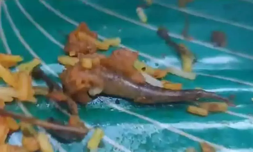 ബിരിയാണിയിൽ കണ്ടത് പല്ലിവാലോ മീനോ?, ഉപഭോക്താക്കളു​ടെ പരാതിയിൽ മറുവാദവുമായി ഹോട്ടൽ ഉടമ