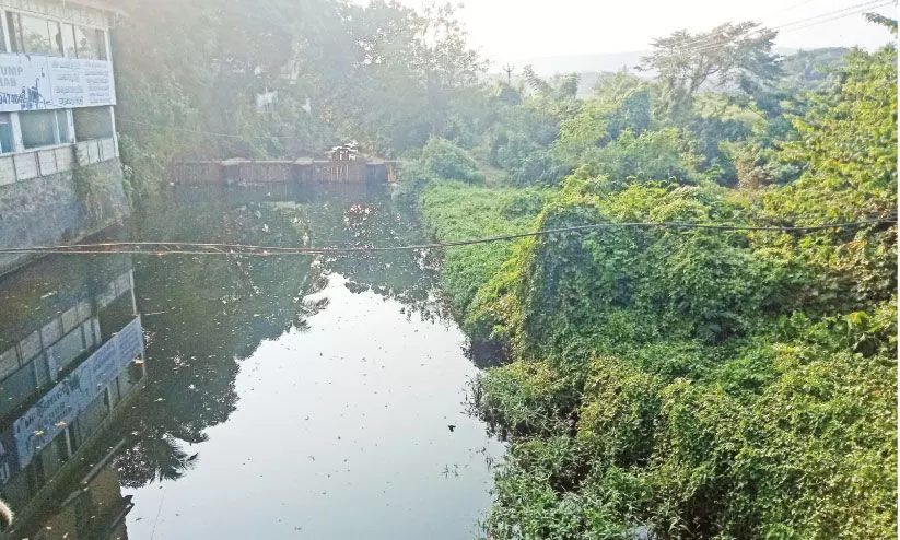 സ​ർ​വേ തു​ട​ങ്ങി​യി​ല്ല: എങ്ങുമെത്താ​തെ വ​ലി​യ​തോ​ട് ന​വീ​ക​ര​ണ പ​ദ്ധ​തി