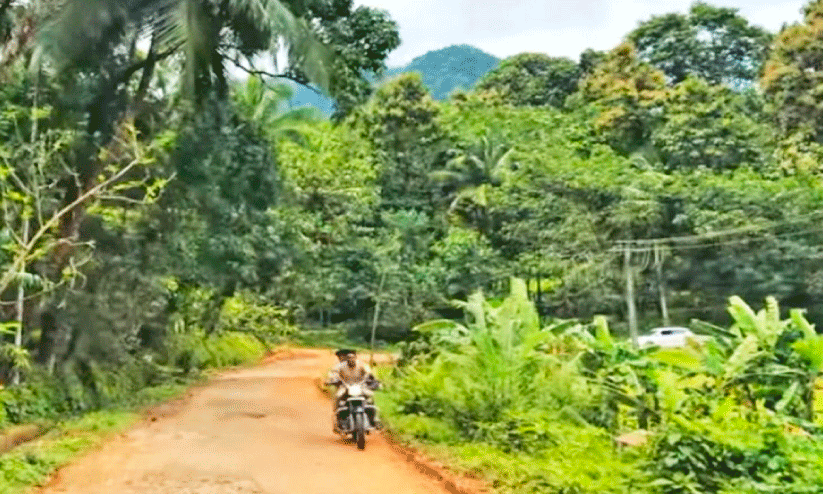 റോഡിൽ സുരക്ഷവേലിയില്ലാത്തത്  അപകട ഭീഷണിയാകുന്നു