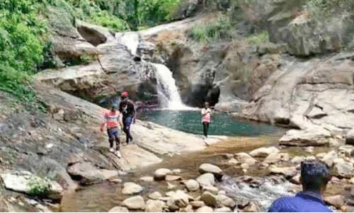 അ​ന​ധി​കൃ​ത റി​സോ​ർ​ട്ടു​ക​ൾ​ക്കും ഹോം ​സ്റ്റേ​ക​ൾ​ക്കും മേ​പ്പാ​ടി  പ​ഞ്ചാ​യ​ത്തി​ന്റെ സ്റ്റോ​പ് മെ​മ്മോ