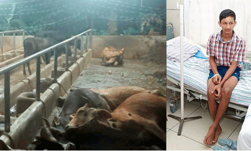 പൊലിഞ്ഞു വീണത് ആ 15കാരന്റെ സ്വപ്നങ്ങളാണ്