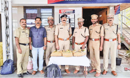 തിരൂർ റെയിൽവേ സ്റ്റേഷൻ പരിസരത്ത് എട്ട് കിലോ കഞ്ചാവ് പിടികൂടി തിരൂർ റെയിൽവേ സ്റ്റേഷൻ പരിസരത്ത് എട്ട് കിലോ കഞ്ചാവ് പിടികൂടി