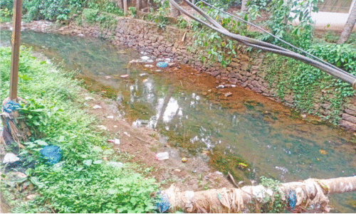 കൊണ്ടോട്ടിയിലെ വലിയതോട് ആഴം കൂട്ടും