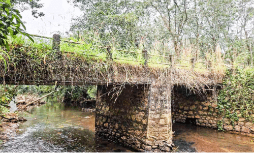 നാലു പതിറ്റാണ്ട് പഴക്കമുള്ള ചക്കുര് പാലം അപകടാവസ്ഥയില് നാലു പതിറ്റാണ്ട് പഴക്കമുള്ള ചക്കുര് പാലം അപകടാവസ്ഥയില്