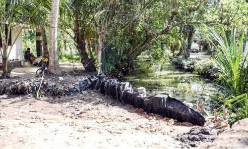 കൈയേറ്റം വ്യാപകം; ശേഷിക്കുന്ന തോടുകളും നാശത്തിലേക്ക്