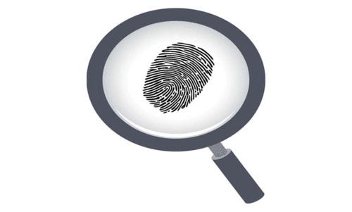 മത്സ്യമാർക്കറ്റിലെ കവർച്ച ഡോഗ് സ്ക്വാഡും വിരലടയാള വിദഗ്ധരും പരിശോധിച്ചു