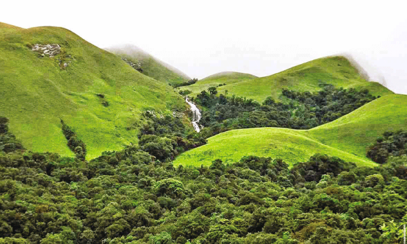 കരിമ്പുഴ വന്യജീവി സങ്കേതം: മാനേജ്മെന്റ് പ്ലാനായി കരിമ്പുഴ വന്യജീവി സങ്കേതം: മാനേജ്മെന്റ് പ്ലാനായി