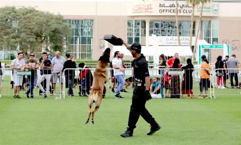 dubai police carnival