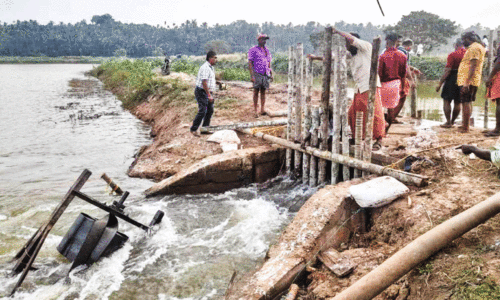 പൂഴിക്കോൾ ബണ്ട് കടവിലെ പെട്ടിമ്പറ തകർന്നു; ലക്ഷങ്ങളുടെ നഷ്ടം