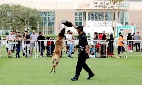 dubai police carnival