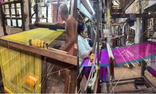 സർക്കാർ കനിയണം; തറിയിൽ നെയ്യുന്ന ജീവിതത്തിന് നിറംപകരാൻ