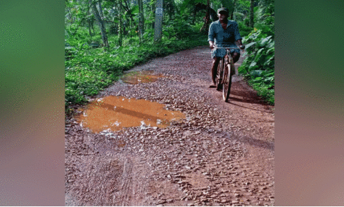 ചെല്ലാങ്കോട്-പൂവത്തൂർ റോഡ്  ശോച്യാവസ്ഥയിൽ