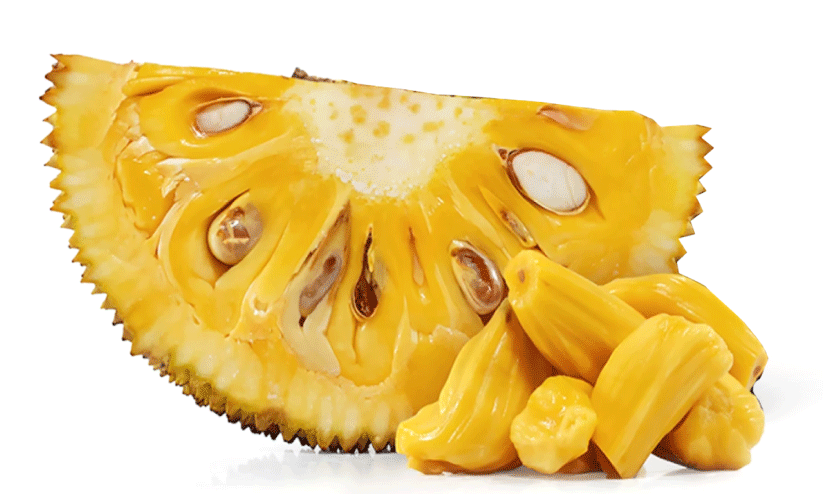 ച​ക്ക ഇ​വി​ടെ സൂ​പ്പ​ർ​സ്റ്റാർ