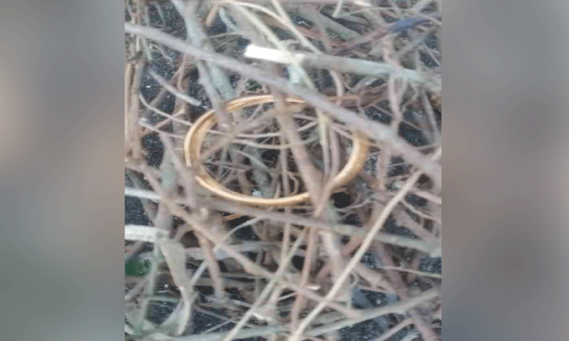 ‘സ്വർണക്കൊട്ടാരം’ തീർത്ത് കാക്ക: ടെൻഷനടിച്ച് വീട്ടുകാർ