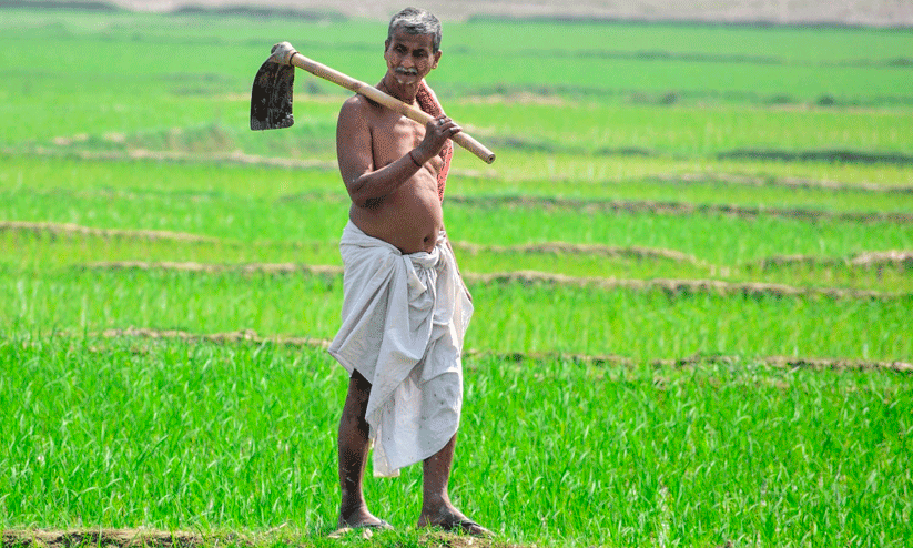 കണ്ണീരുണങ്ങാത്ത കൃഷിയിടങ്ങൾ... കണ്ണീരുണങ്ങാത്ത കൃഷിയിടങ്ങൾ...