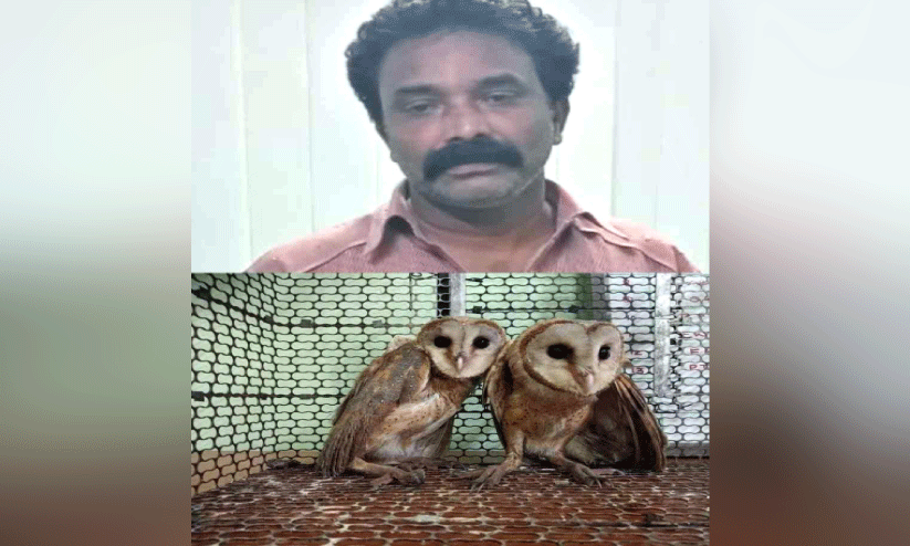 നവാസ് നവാസ്